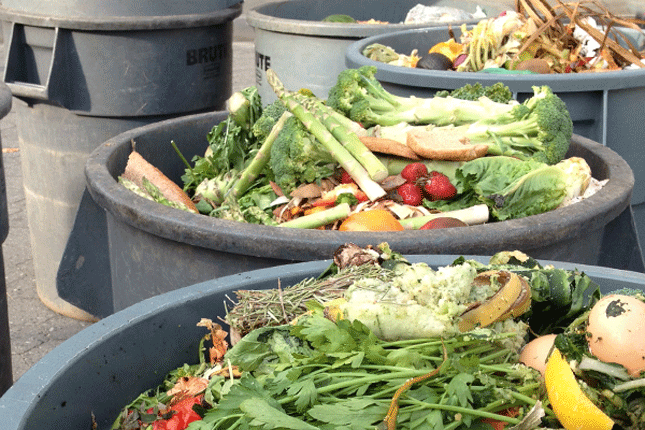 Fresh food in garbage bins