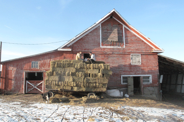 Hastack in front of dilapidated barn