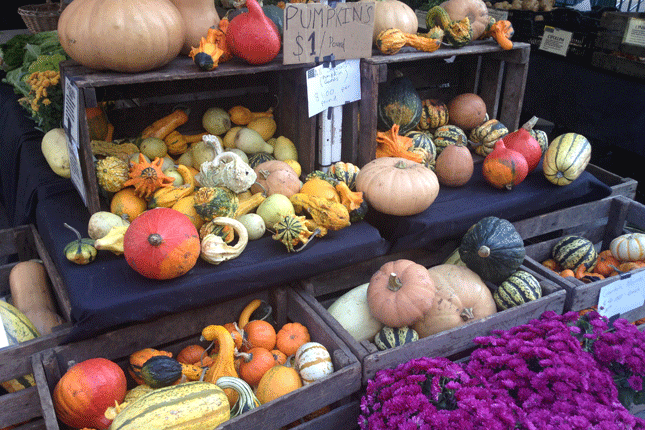 Gourds and pumpkins at a fall farmers market