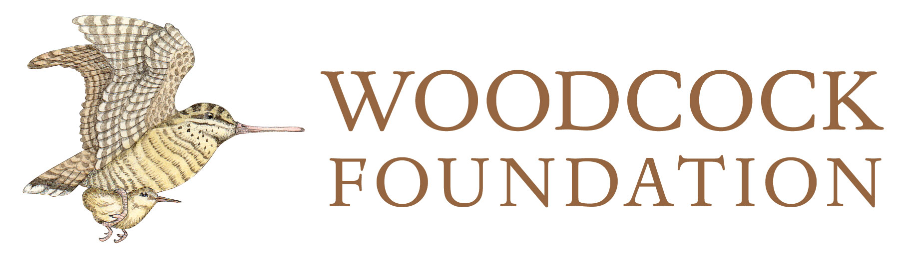 Logo for the Woodcock Foundation