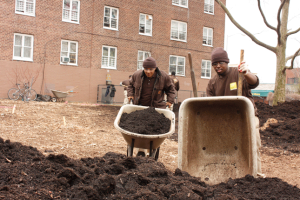Teens from Green City Force working at the NYCHA Red Hook farm