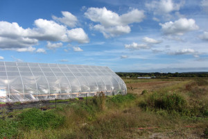 Greenhouse on a farm