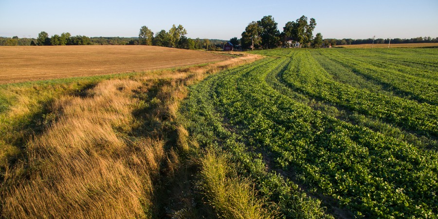 An open field depicting carbon farming