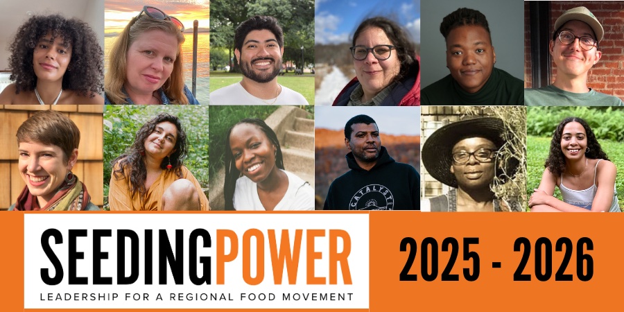2025 Seeding Power Fellows for Website (900 × 450 px) - 4